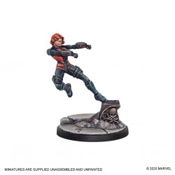 Hawkeye and Black Widow