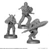 Combattants Wookies (Français)