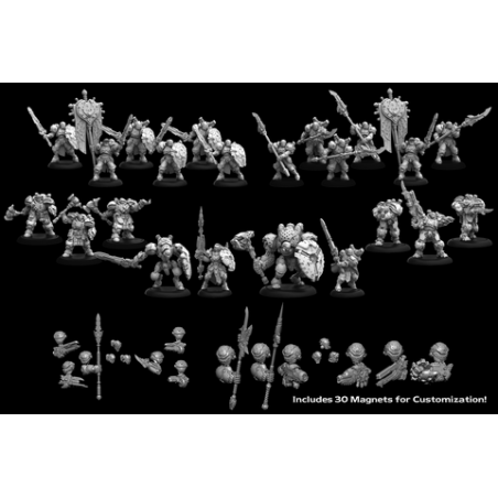 WARMACHINE – Cygnar Storm Legion Core Army Starter