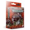 WHU: BLACKPOWDER'S BUCCANEERS (ENGLISH)