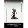 OFFICIO ASSASSINORUM CULEXUS ASSASSIN